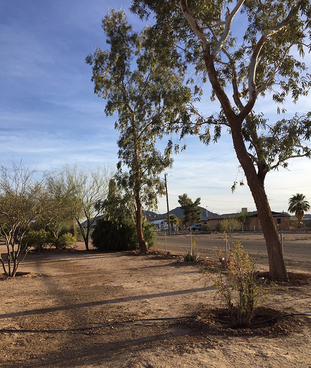 Thunderbird Farms, Maricopa, AZ