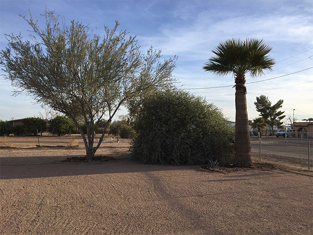 North Thunderbird, Maricopa, AZ