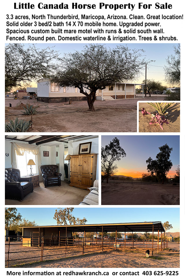 3.3 acre horse property for sale in "Little Canada" - North Thunderbird, Maricopa, Arizona 