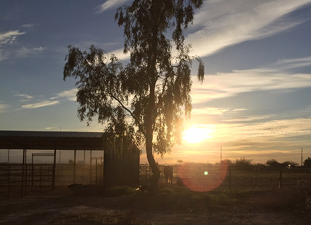 Maricopa, AZ, Pinal County