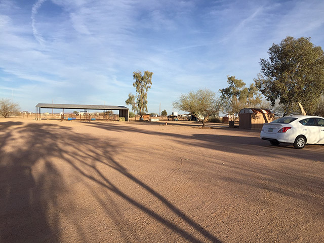 Spacious mare motel with runs and turn-outs