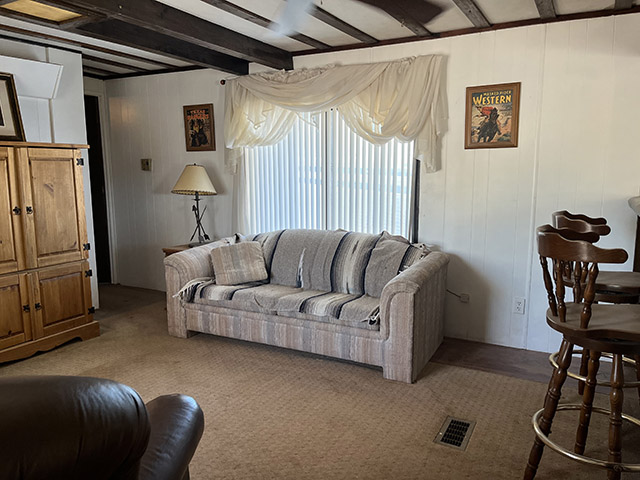 Maricopa, AZ - living room